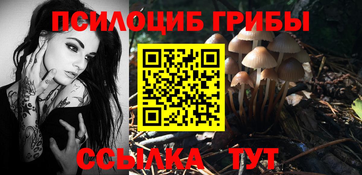 Псилоцибиновые грибы Magic Shrooms  Вход с VPN  Севастополь 